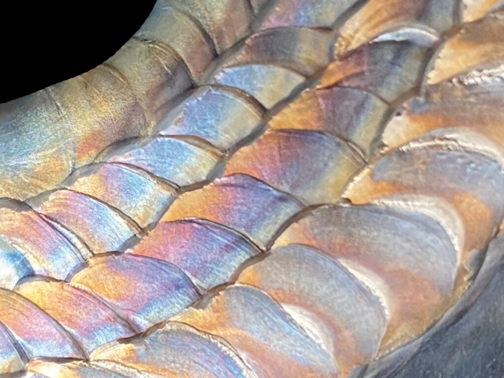 il dettaglio di una saldatura